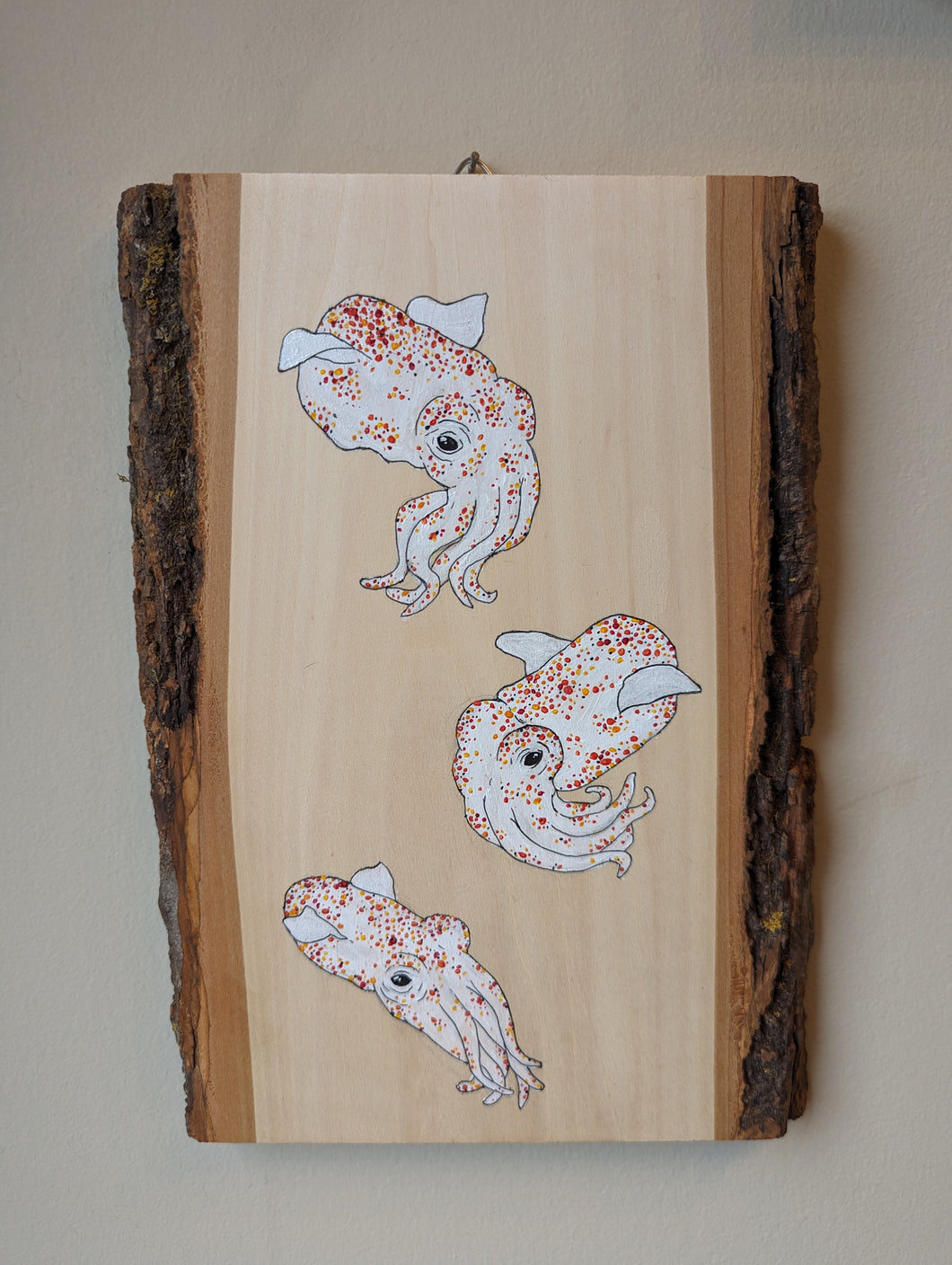 Squids