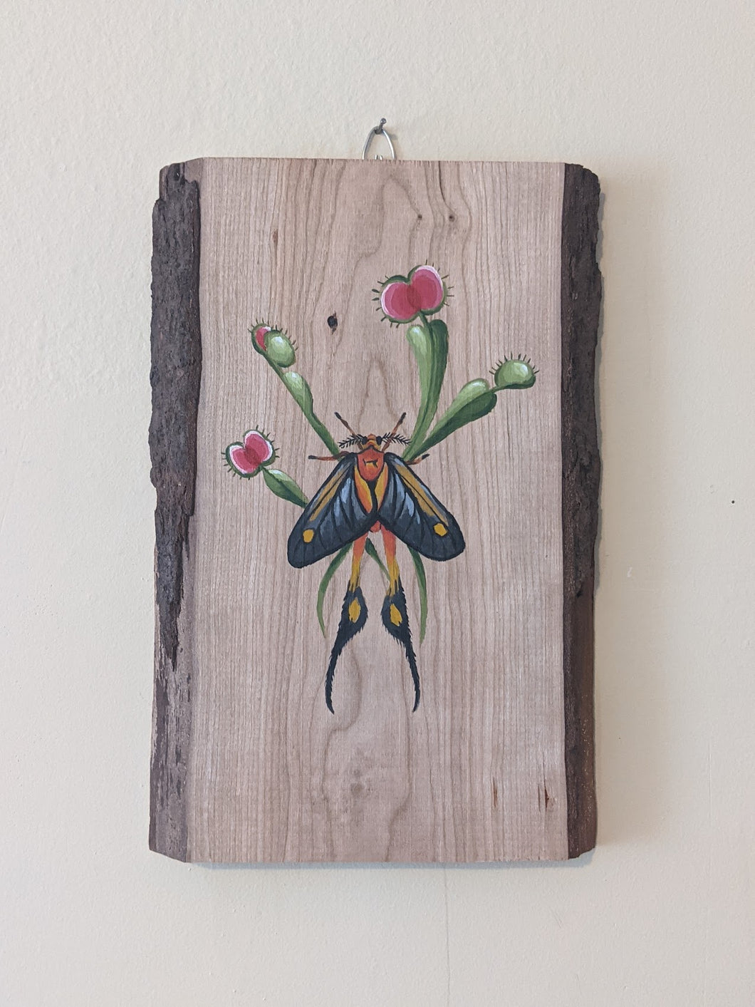 Moth