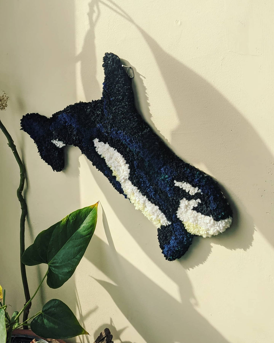 Orca