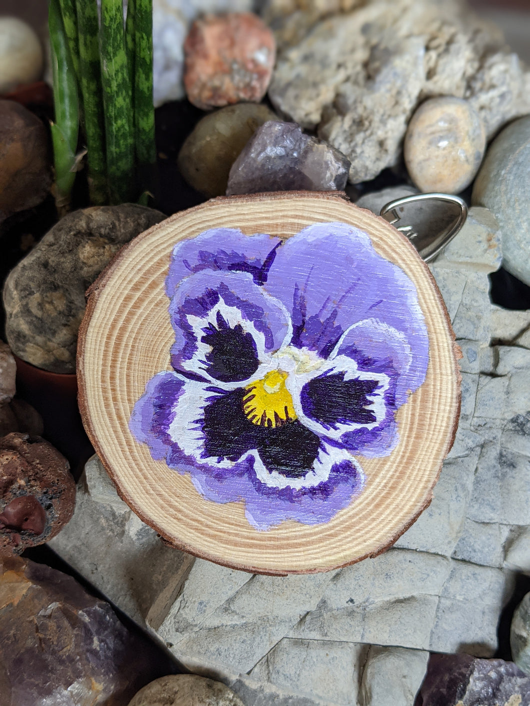 Pansy