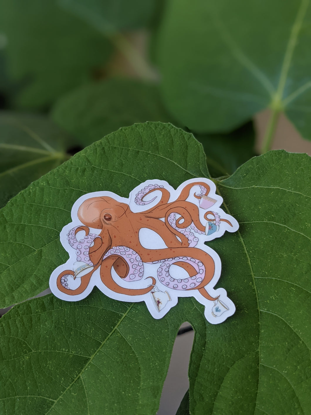 Octopus Tea Party