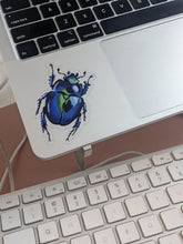 Load image into Gallery viewer, Blue Beetle
