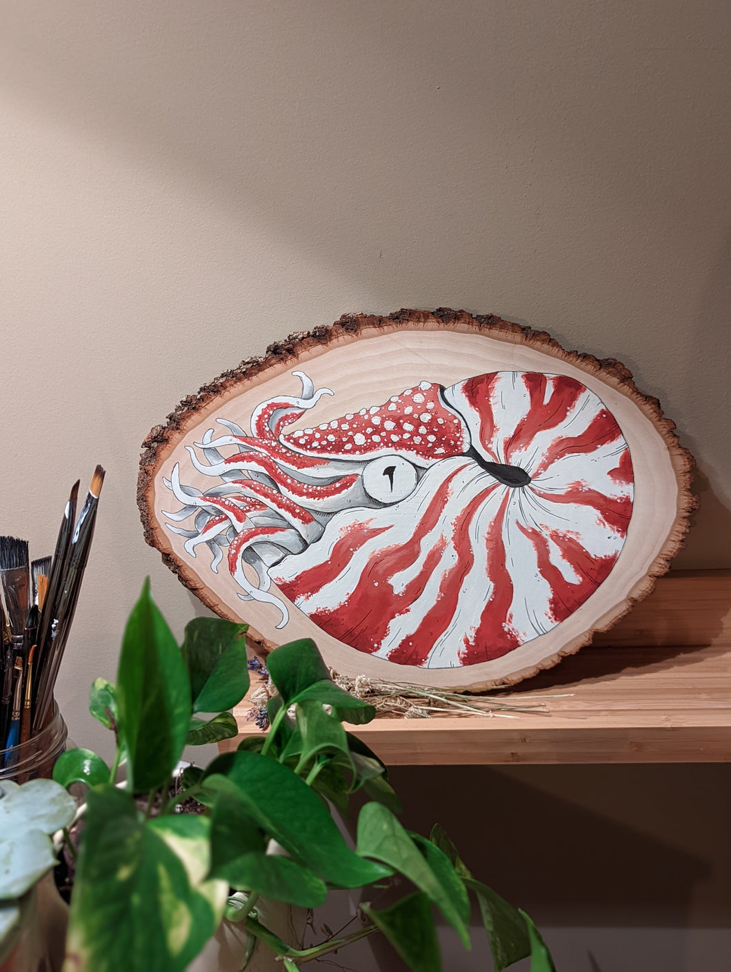 Nautilus
