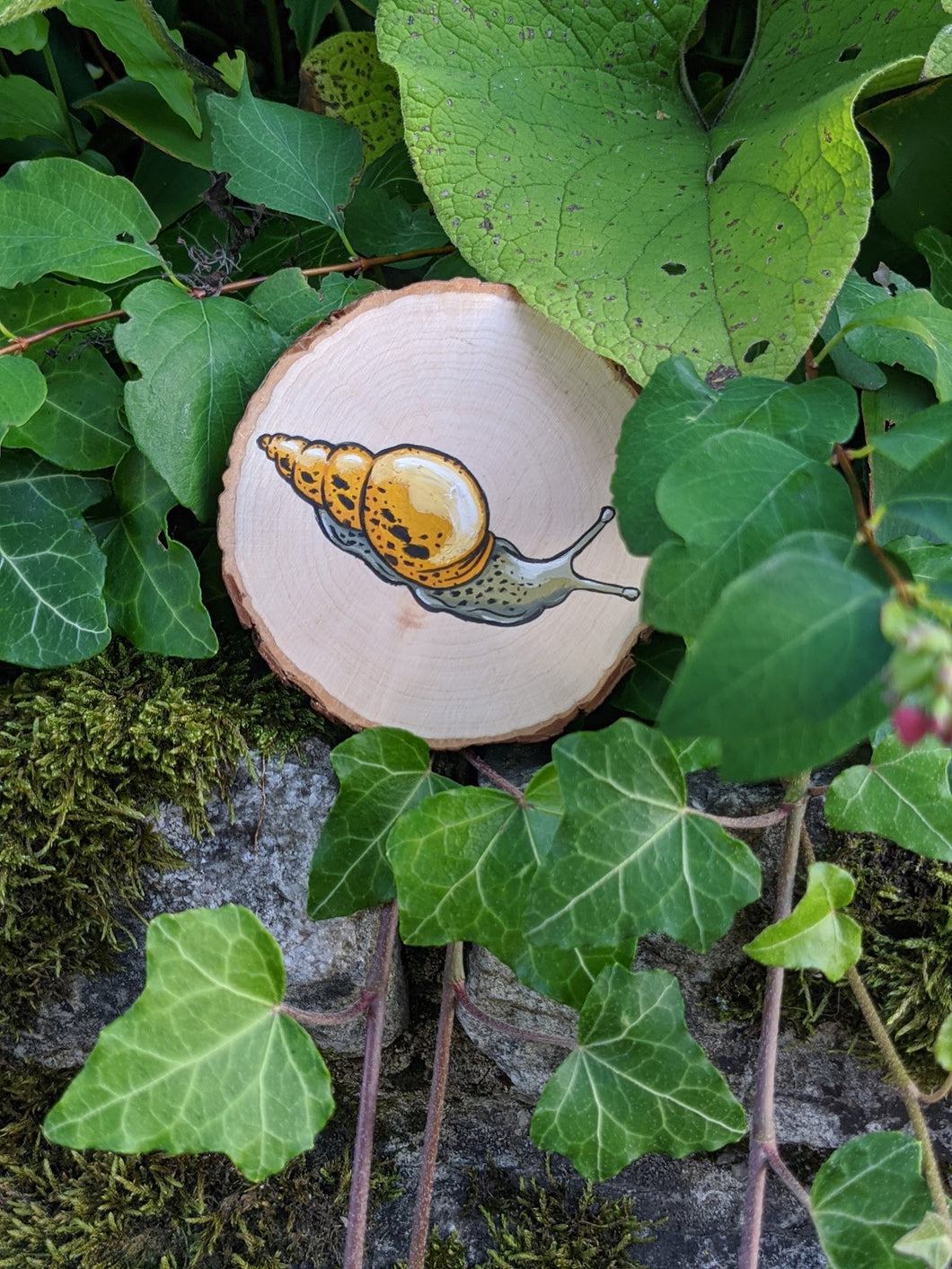 Yellow Snail